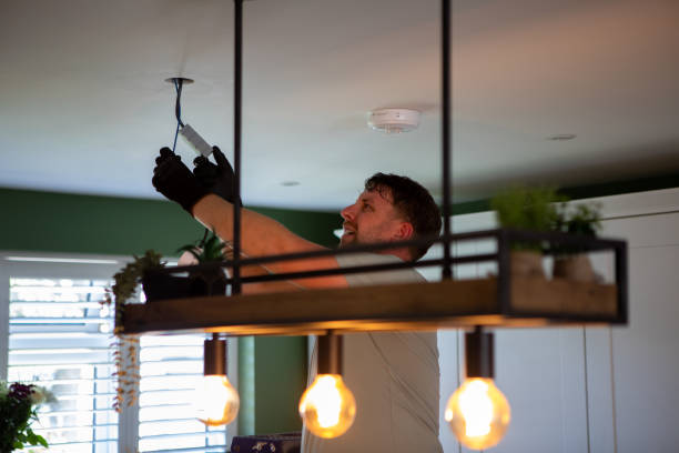 Best Electrical System Inspection  in Skippers Corner, NC